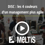 Webinaire DISC : les 4 couleurs d'un management plus agile