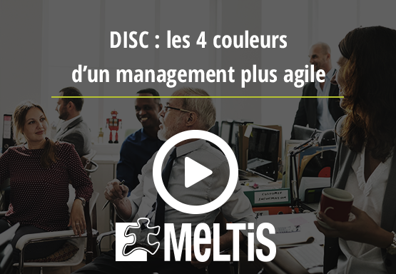Webinaire DISC : les 4 couleurs d'un management plus agile