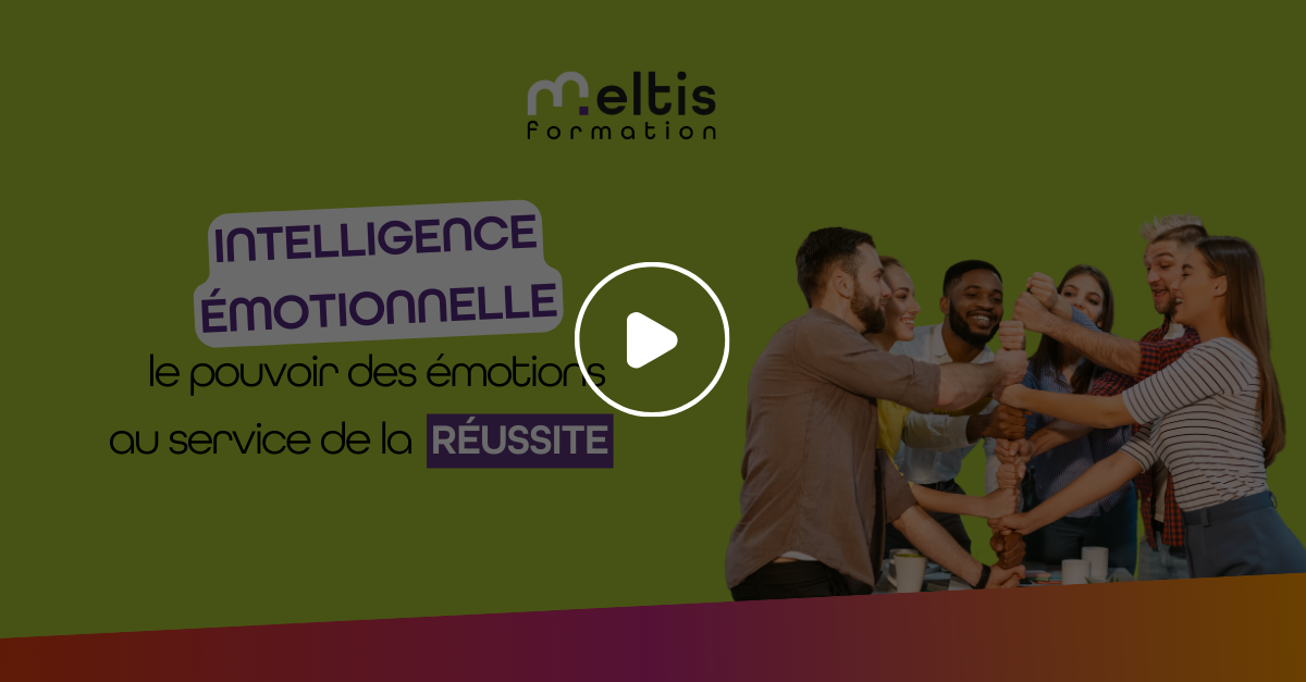 🧑‍💼 Meltis | Formation - les émotions au service de la réussite