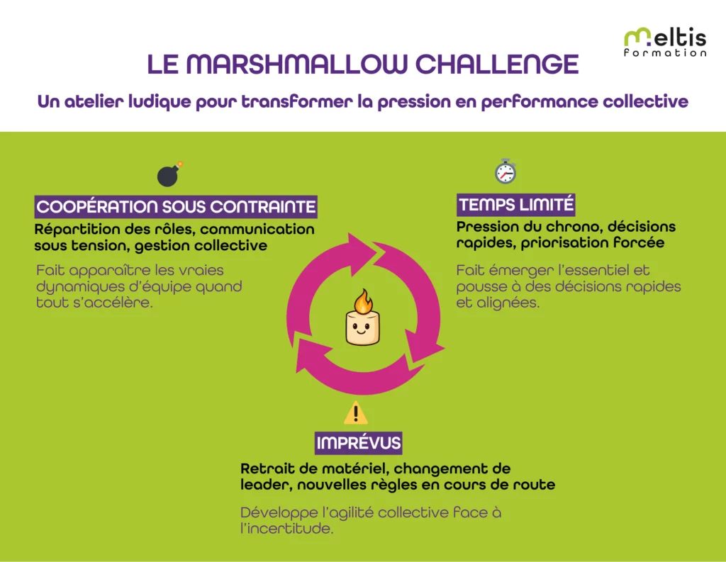 Séminaire d'équipe et de cohésion - atelier Marshmallow Challenge