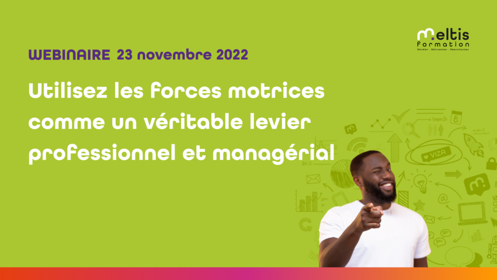 miniature replay webinaire 23/11/22